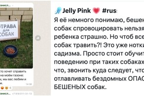 Жильцы против собачников: в общедомовом чате свои войны