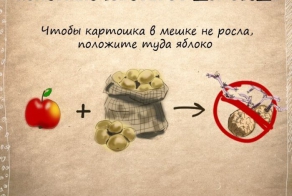 Полезные бытовые советы (11 фото)