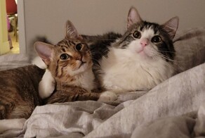 С добрым утром