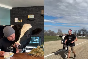 Парень показал свою жизнь с коровой в доме