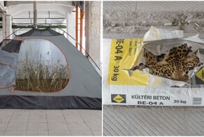 Современное искусство: автор вдохновляется археологией и стирает границы времени