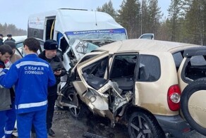 Мать с дочерью возвращались с отменённых соревнований в «Крокусе» и погибли в аварии на трассе