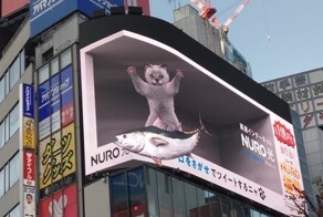 Коубы для настроения