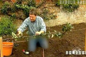 В Северной Корее ведущему британского шоу о садоводстве заблюрили джинсы