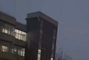 Житель дома заметил в небе странную птицу