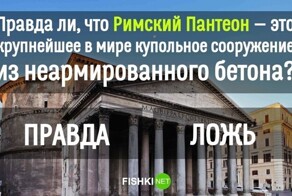 Правда или ложь? Сложный тест для самых мозговитых