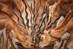 20 идеальных фотографий, от которых у перфекциониста растает сердце