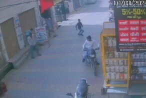Агрессивная обезьяна напала на подростка