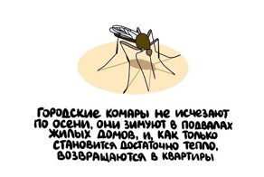 А вдруг ты не знал…