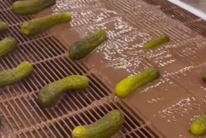 В США производят соленые огурцы в шоколаде