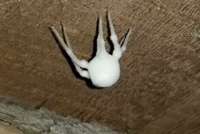 "Для чего эта штука?": 30 раз, когда пользователи сети прояснили ситуацию