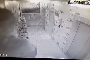 Неравнодушный консьерж спас собаку