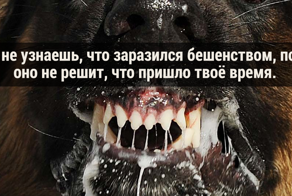 Научные факты, которые действительно пугают