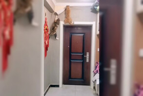 Внимание, работают профессионалы!