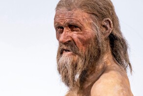 Учёные выяснили, как делали татуировки ледяному человеку Этци