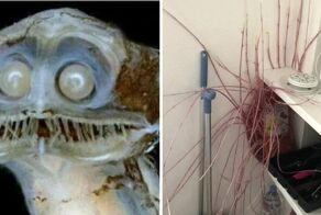 Мир не без жутких вещей: 14 случаев, когда нечто пугало людей до чёртиков