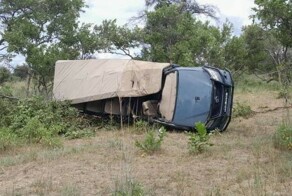 В Замбии дикий слон напал на туристов, погибла пожилая американка