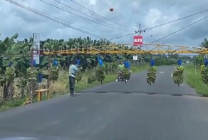 "Банановые поезда" в Коста-Рике