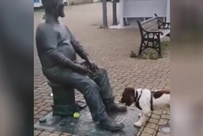 Собака решила поиграть в мячик со статуей