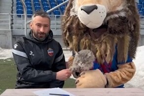 Получил имя и форму: красноярский футбольный клуб заключил контракт с котиком