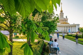 За 12 лет в Москве высадили 12,8 млн деревьев и кустарников