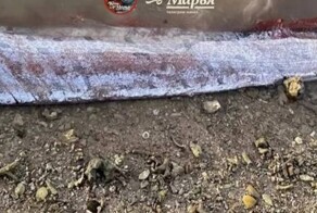 Перед землетрясением на Тайване рыбаки поймали «рыбу судного дня»