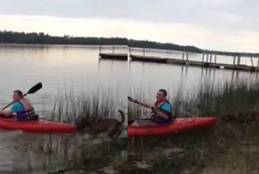 «Со мной сиди»: пёс не пустил хозяина поплавать на каяке