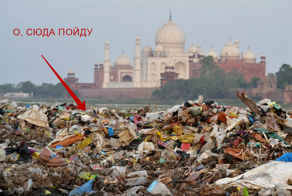 Как трущобы Индии стали интереснее Тадж-Махала