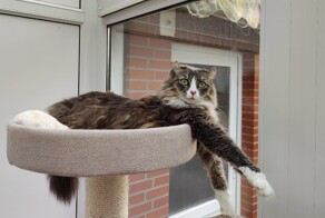 С добрым утром