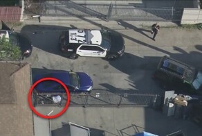 В США преступник спрятался от полицейских в лучших традициях стелс-игр