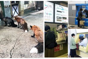 18 невероятных фото, которые показывают, почему Япония — страна, не похожая ни на одну другую