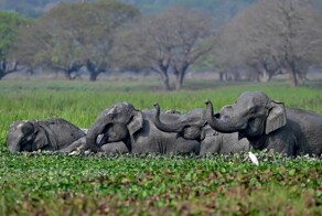 С добрым утром