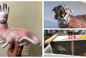 30 самых странных почтовых отправлений