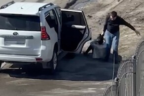 В Чебоксарах задержали экс-помощника депутата, протащившего женщину за волосы к авто