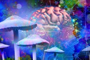 Американская компания придумала способ, как сделать своих сотрудников счастливыми