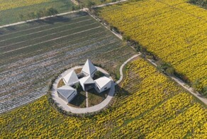 Сельская библиотека в цветочном поле