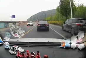 Обочечники везде людям жить мешают