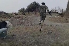 Рой пчёл разогнал туристов в Индии