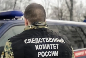 "Самая убогая нация": СК заинтересовался оскорбившим россиян узбеком из Петербурга