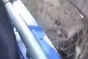 Впечатляющий улов рыбака