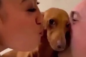 Такса мешает женщине целовать мужа