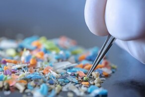 Частицы пластика способны проникать в мозг