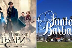 10 фильмов и сериалов, чьи названия ушли в народ и стали использоваться в повседневной жизни