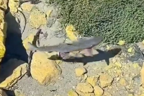 Кристально чистая вода в водоёме 