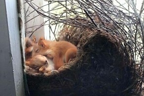 25 интересных фотографий из серии «С миру по нитке»