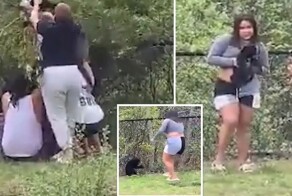 Пьяные американцы сняли медвежат с дерева ради селфи