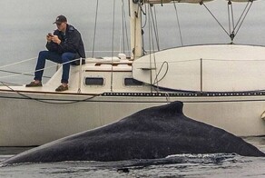 15 человек с очень чёткими приоритетами