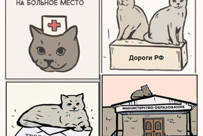 Правда ли, что кошки ложатся на больное место и лечат? Если да, то как именно