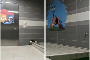 В  аэропорту Стамбула есть специальный туалет для домашних животных