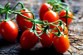 Почему томаты по-русски называются помидорами?